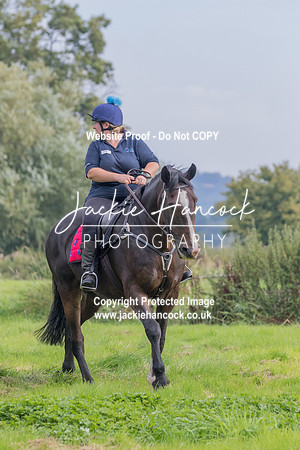 104955-UCP-JH