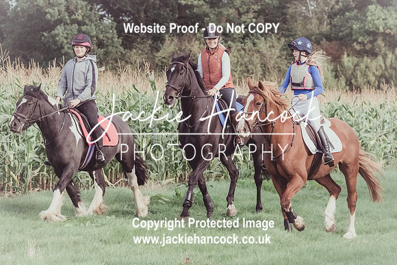 101239-UCP-JH
