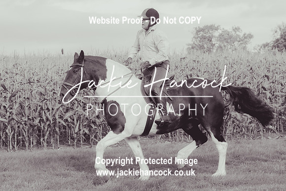 101447-UCP-JH-4