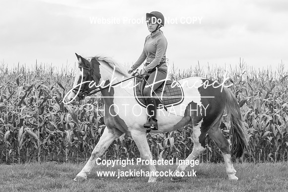 111632-UCP-JH-4