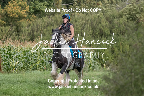 113352-UCP-JH-3