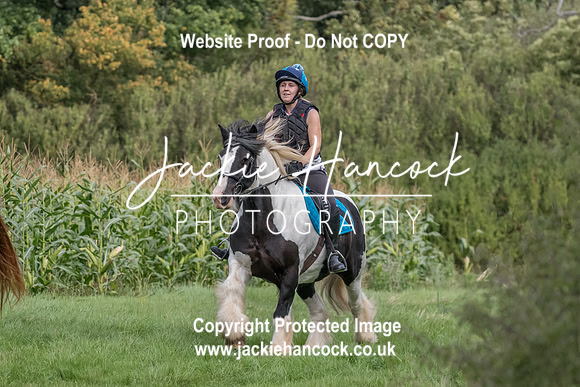 113353-UCP-JH