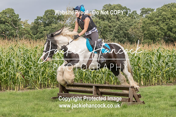 113356-UCP-JH-3