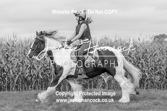 113357-UCP-JH-3