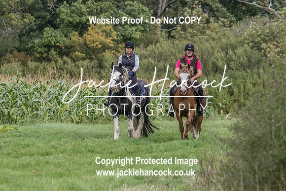 113655-UCP-JH
