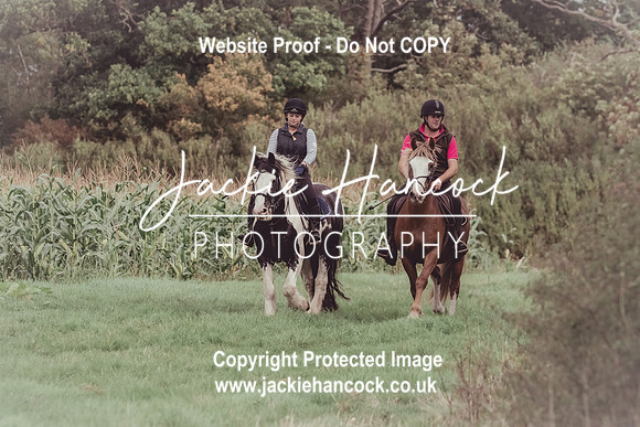 113655-UCP-JH-2