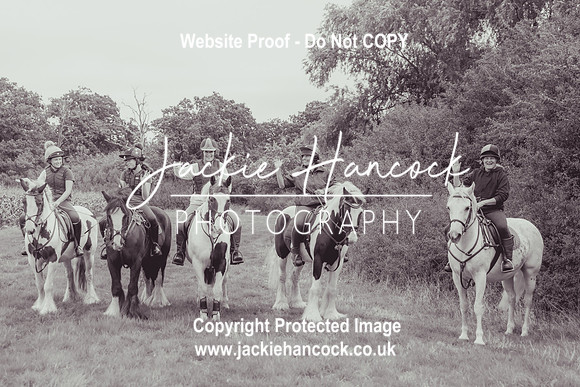 115113-UCP-JH