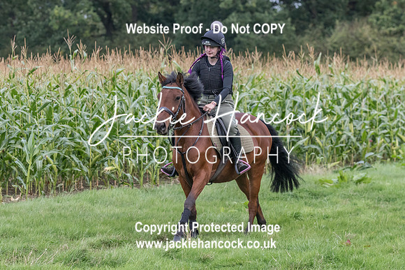 115217-UCP-JH
