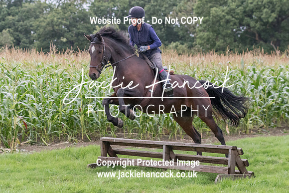 121410-UCP-JH-3