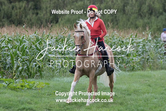 123214-UCP-JH