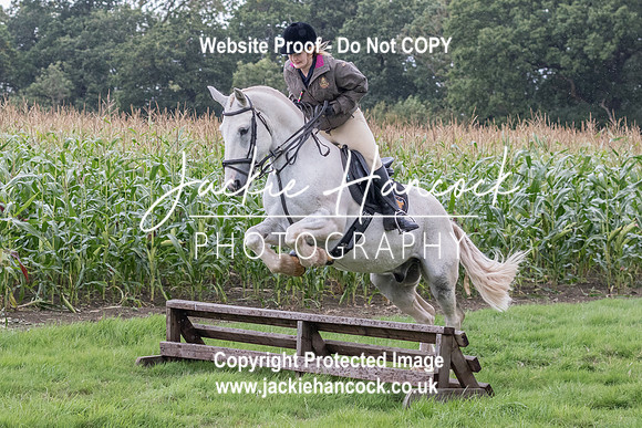 123433-UCP-JH-2