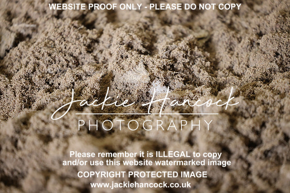 R5JH0260