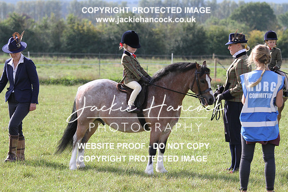 JHP20011
