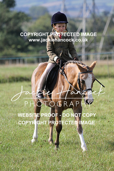 JHP20012