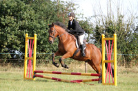 Show Jumping (main)