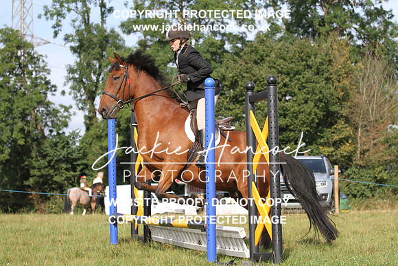JHP20038