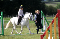 Mini Show Jumping (part)
