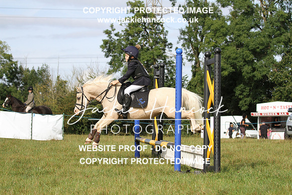 JHP20131