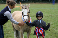 Showing winners/championships (part covered)