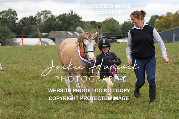 JHP20732