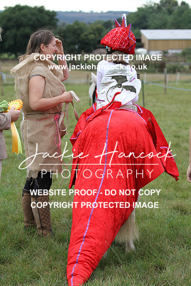 JHP20006