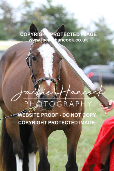 JHP20011