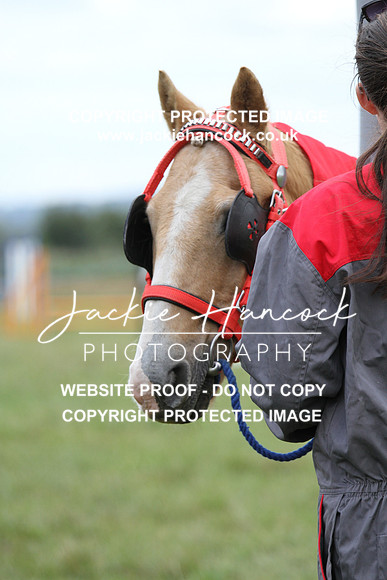 JHP20022