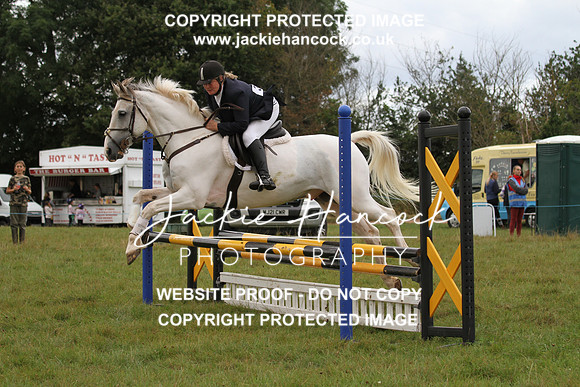 JHP20077
