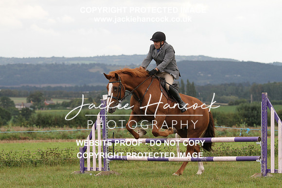 JHP20095