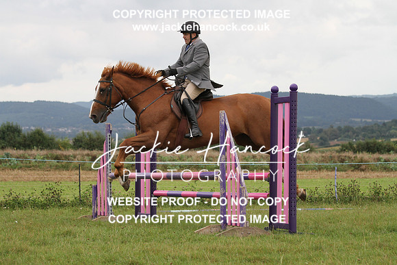 JHP20099