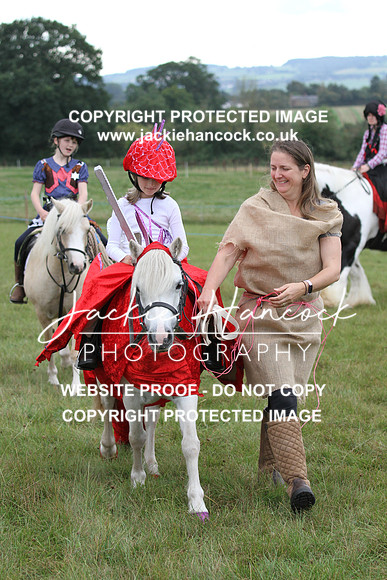 JHP20113