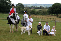 Fancy Dress