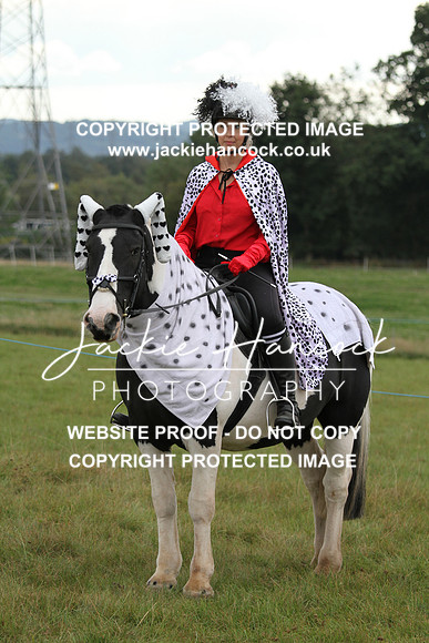JHP20122