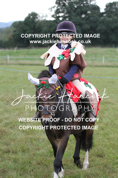 JHP20138