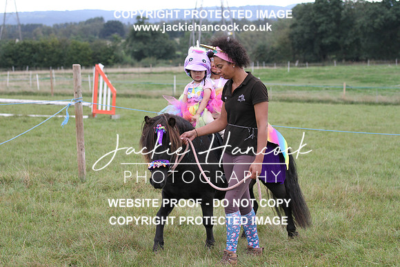 JHP20166