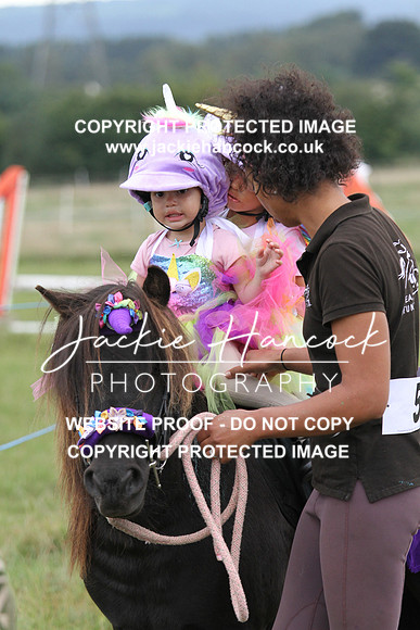 JHP20168
