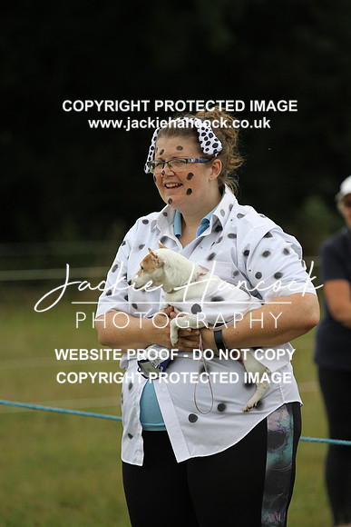 JHP20192