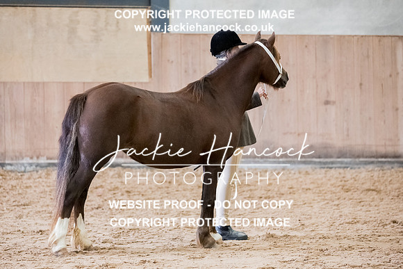 133545-190921-JHP