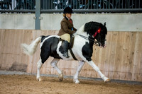 Classes 7 - 13 & championships