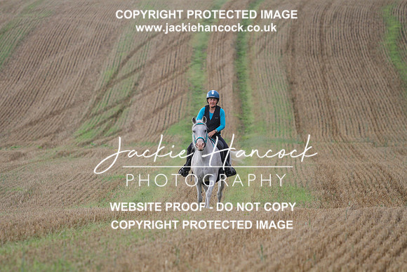 JHP20005