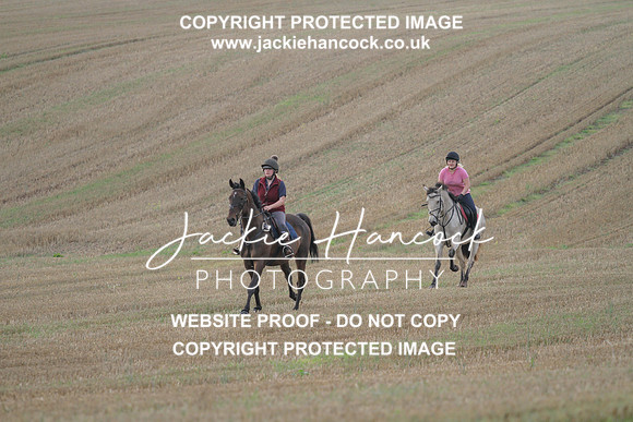 JHP20012