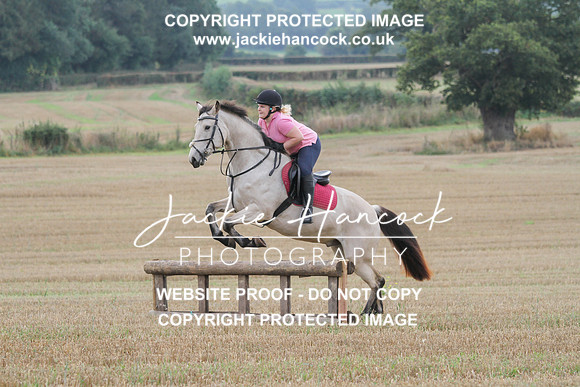 JHP20029