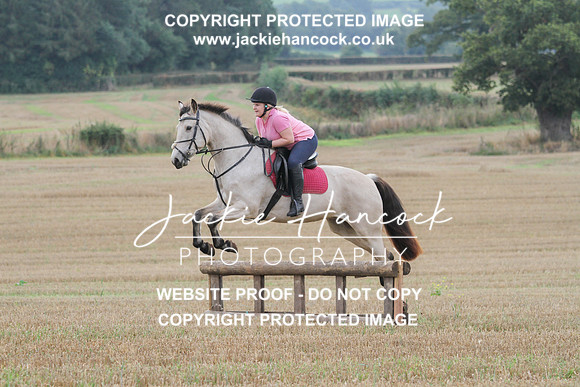 JHP20030