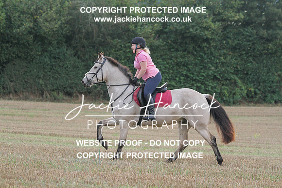 JHP20033