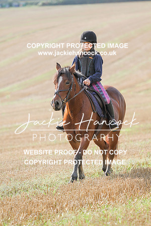JHP20054