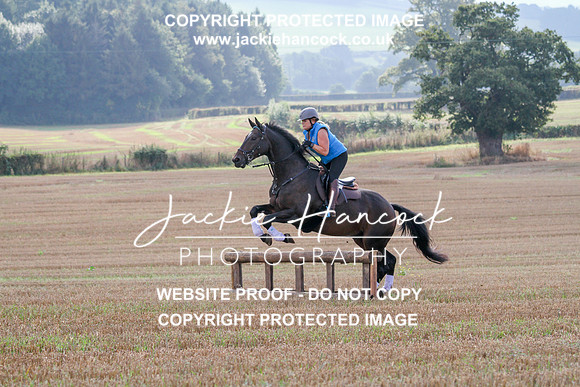 JHP20065