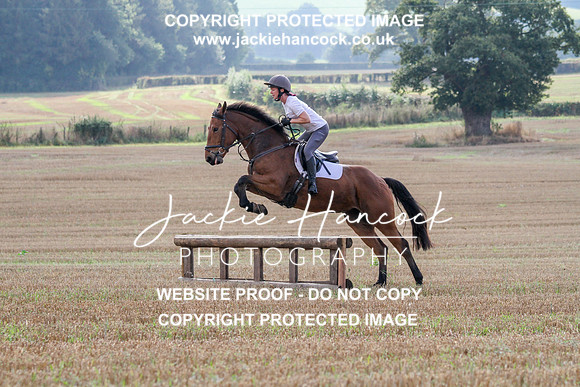 JHP20073