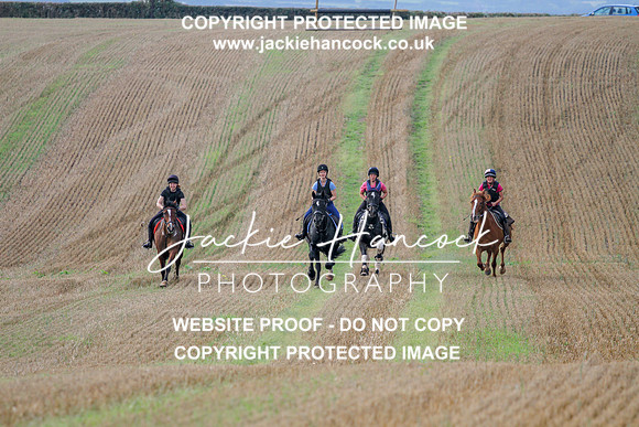 JHP20104