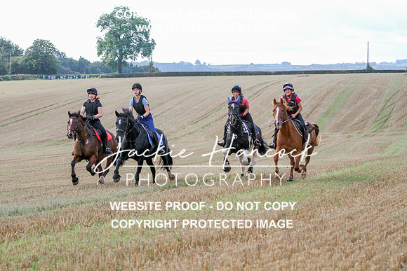 JHP20112
