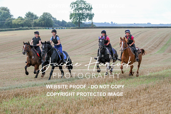 JHP20115